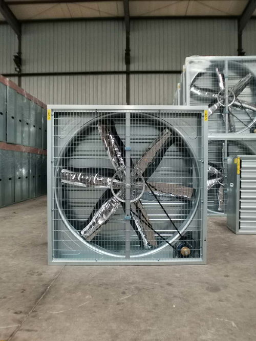 無動(dòng)力風(fēng)機(jī)報(bào)價(jià) 廠家