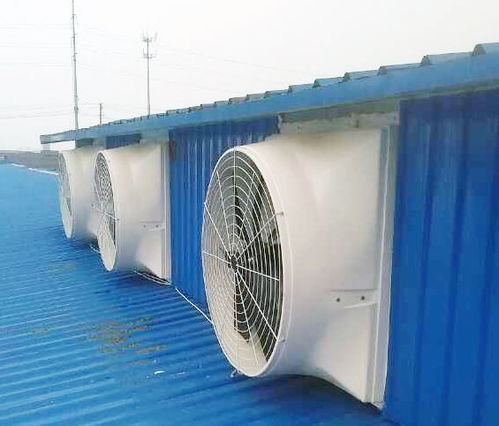 無動力屋頂風(fēng)機(jī)報價與廠家選擇指南